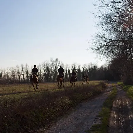 Διαμέρισμα Delma's